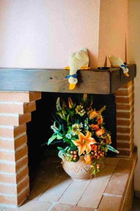 A Casa Di Claudia Apartment Сатурния Екстериор снимка